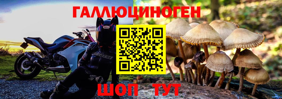 Саров  Псилоцибиновые грибы прущие грибы  Вход с VPN  Псилоцибиновые грибы прущие грибы 
